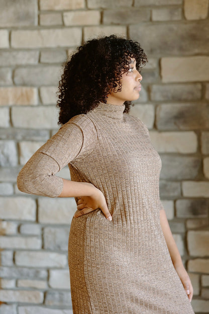 Cedar Turtleneck Dress