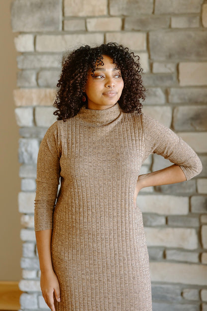 Cedar Turtleneck Dress